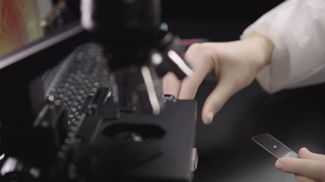 Lab technician hands preparing microscope slide closeup