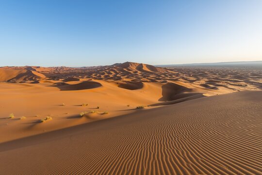 Red sand dunes in the desert, dune landscape Erg Chebbi, Merzouga, Sahara, Morocco