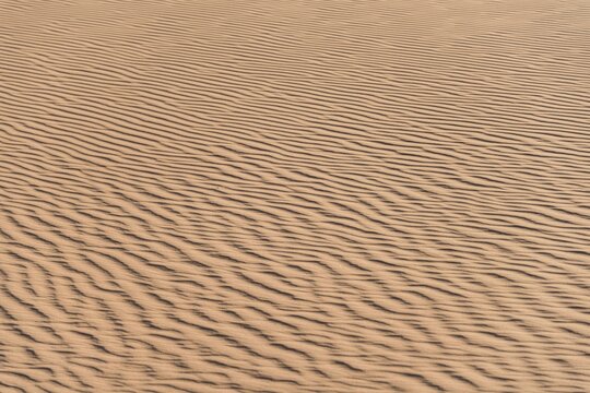 Wave pattern in the sand, Sossusvlei, Namib-Naukluft Park, Namibia