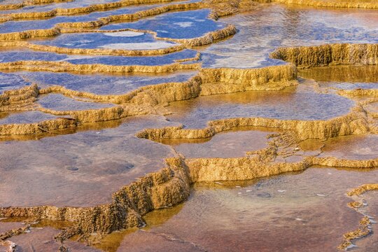 Sinter terraces, hot springs, orange mineral deposits, Palette Springs, Upper Terraces, Mammoth Hot Springs, Yellowstone National Park, Wyoming, USA