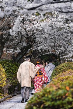 Japanese couple with kimono in a park during the cherry blossom season, colorful traditional clothes, Higashiyama, Kyoto, Japan