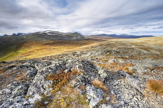 Autumn fell landscape, Sarek National Park, Laponia, Lapland, Sweden