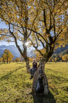 Sun star, Gro&szlig;er Ahornboden in autumn, yellow sycamore maple, Ri&szlig;tal in der Eng, Tyrol, Austria