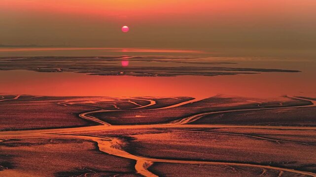 Aerial view of the sunrise over the Qiantang River in the Hangzhou Bay after the night ebb, which reveals beautiful tidal tree pattern on the mudflat.
