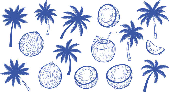 Tropical coconut palm and fruit sketch collection in blue line art illustration
