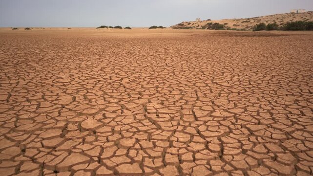 Cinematic tracking shot over vast cracked, parched earth revealing animal paw prints baked into the mud. High-impact dynamic B-roll highlighting severe drought, wildlife impact, and climate crisis.