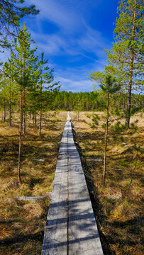 The Siikaneva wetland conservation area in Ruovesi. A must-see attraction in the Pirkanmaa region, it offers beautiful, pristine Finnish wilderness accessible via wooden boardwalks.