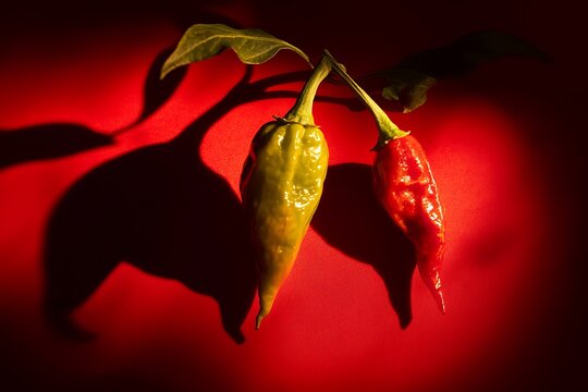 glow ghost peppers with dramatic shadows and red