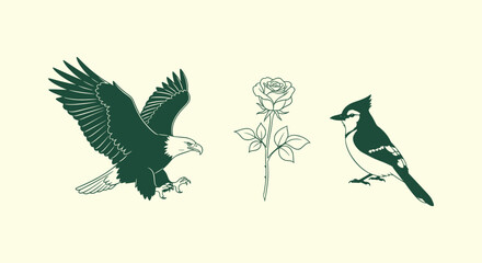 Fototapeta premium Elegant Green Line Art Illustrations of a Flying Bald Eagle, a Single Rose and a Small Songbird.
