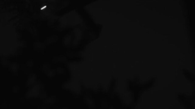 Helicopter flying slowly in the sky
