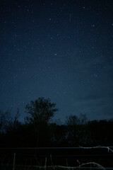 Fototapeta premium Starry night sky with trees and fence