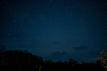 Fototapeta premium Night sky filled with stars above dark trees