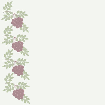 A pattern of red rowan branches with leaves and berries. The rowan tree is dusty. Place for your text.