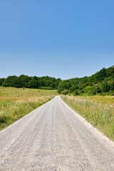 Obraz premium Blue sky, field and landscape of gravel road in nature for tourism, travel and natural environment. Mockup space, trees and forest path in countryside for scenic route, getaway journey and vegetation
