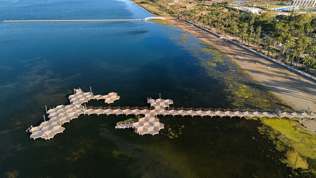 Drone view of Los Urrutias beach, palm trees and a wooden pier extending over the shallow waters of the Mar Menor lagoon in Murcia, Spain.