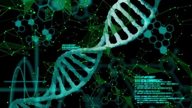 DNA helix rotating after code overlay appearing, nodes pulsing, HUD shifting, showing gene data