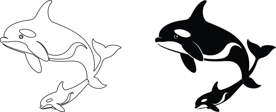 Orca whale and calf silhouette vector graphics depicting marine life swimming underwater art.