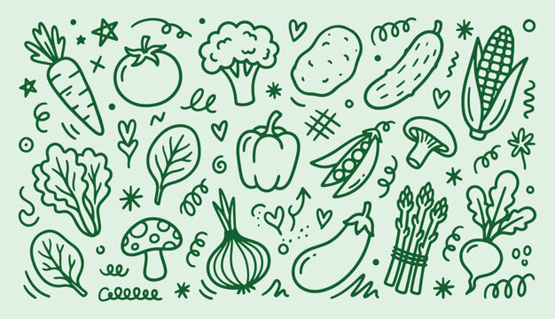 Organic vegetable doodle collection with asparagus broccoli corn and mushroom hand drawn vector illustration for branding