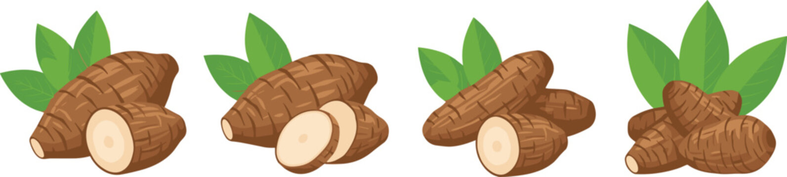 Set of fresh cassava root vector illustrations featuring whole yuca tubers, sliced pieces with white centers, and green leaves isolated on white background for food design.