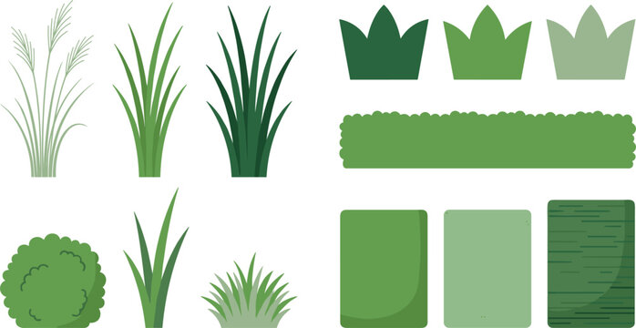 Collection of green grass vector illustrations featuring long blades, pampas stalks, rounded bushes, garden hedges, and flat lawn turf patches isolated on white background for landscaping.