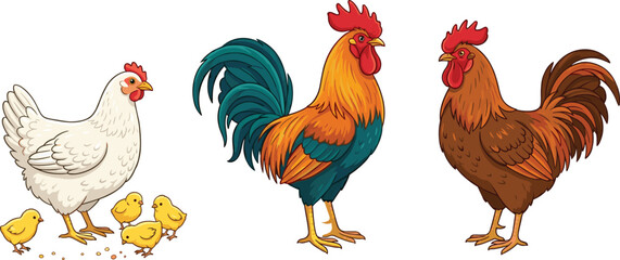 Set of colorful farm bird vector illustrations featuring a white hen with baby chicks, a vibrant rooster, and a brown cockerel isolated on white background. © MDSaiful