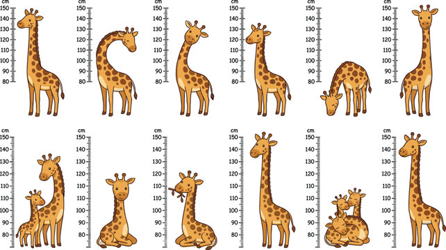 Set of cute giraffe height chart vector illustrations featuring various poses with centimeter growth rulers for children nursery wall decals and kids room interior decoration.