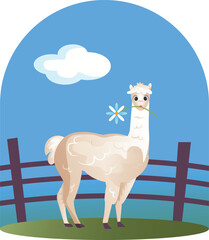 Fototapeta premium Cute alpaca with daisy flower on farm meadow, adorable flat vector illustration