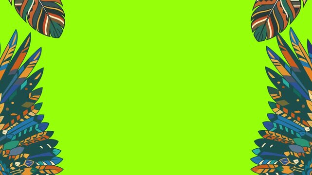 abstract video background with colorful leaves and wings in green screen
