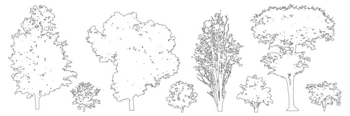 Minimal CAD tree line drawings set, side view outline collection, architectural landscape design elements, vector forest garden section illustration © Addictive Stock