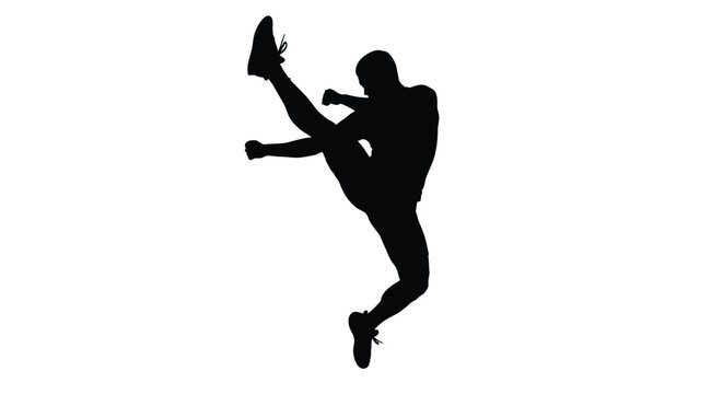 Martial artist performing kick silhouette high quality professional