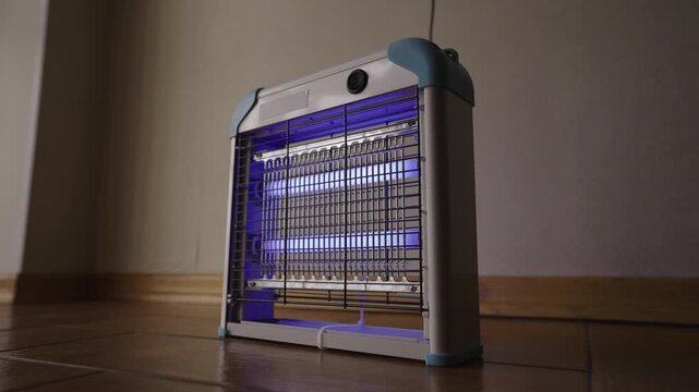 Person hand turns on electric insect killer lamp, UV light bulb inside illuminates, glowing with purple blue light to attract and kill mosquitoes and other flying pests indoors, close-up, slow motion.