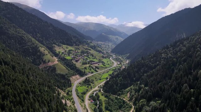 Footage of mountain villages and plateaus located among trees in pine forests.