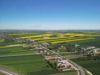 Województwo Świętokrzyskie - Polska - pola rzepaku w rozkwicie, piękny żółty kolor i krajobraz wiejski zdjęcie wykonane dronem z powietrza. Rzepak, pola, drogi, niebo, krajobraz wiejski © Konrad