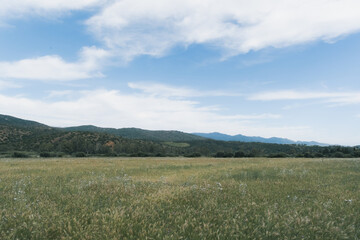 Fototapeta premium イタリアのサルデーニャ島の山の風景