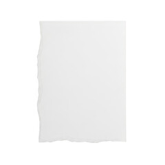 Fototapeta premium Blank tear-stained paper with rough edges
