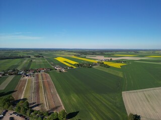 Województwo Świętokrzyskie - Polska - pola tulipanó w rozkwicie, piękne kolory i krajobraz wiejski zdjęcie wykonane dronem z powietrza. Tulipany, pola, drogi, niebo, krajobraz wiejski © Konrad