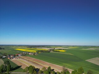 Województwo Świętokrzyskie - Polska - pola tulipanó w rozkwicie, piękne kolory i krajobraz wiejski zdjęcie wykonane dronem z powietrza. Tulipany, pola, drogi, niebo, krajobraz wiejski © Konrad