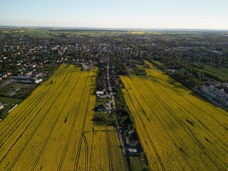 Województwo Świętokrzyskie - Polska - pola rzepaku w rozkwicie, piękny żółty kolor i krajobraz wiejski zdjęcie wykonane dronem z powietrza. Rzepak, pola, drogi, niebo, krajobraz wiejski © Konrad