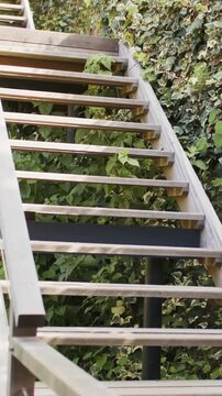 Vertical video: Starting low camera sweeping upward along open-tread stairs at yard, revealing ivy