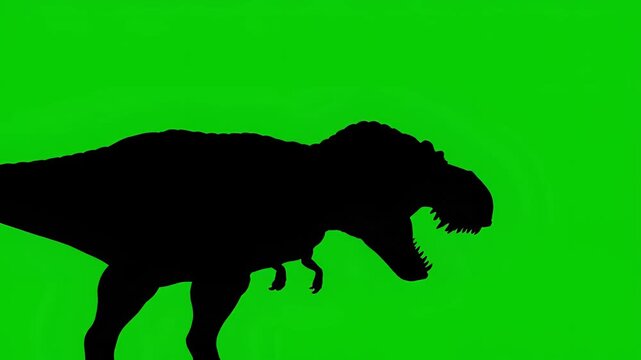 Silhouette of a roaring Tyrannosaurus Rex dinosaur on a green screen background.