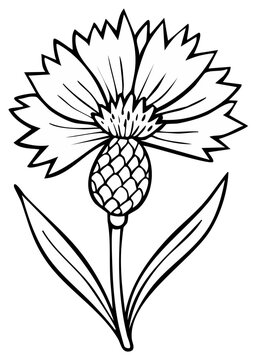 Hand-drawn outline illustration of a single cornflower with leaves and stem
