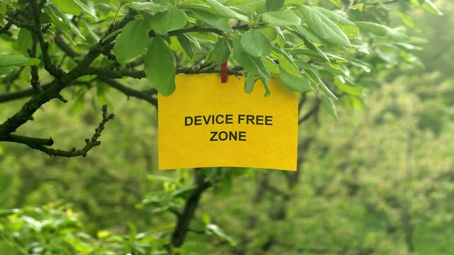 A yellow note with the text Device Free Zone on it clipped to a green tree branch, representing a digital detox and mindfulness concept. Close up.