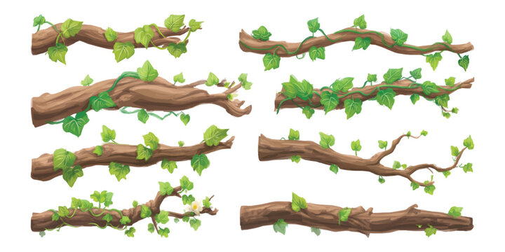 Watercolor set of rustic weathered trees branches twigs wrapped with green ivy climbing vines, isolated on transparent background