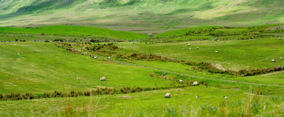 Obraz premium Sunlit mountains and green fields spread across the landscape near Killary Fjord in western Ireland. A broad rural panorama of the Connemara and Mayo border region.