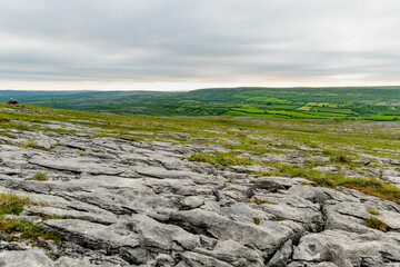 Naklejka premium Limestone pavement landscape in Burren National Park, County Clare, Ireland. Wild karst scenery on the Wild Atlantic Way with views across the Irish countryside.