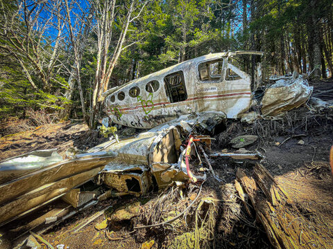abandoned plane in the woods