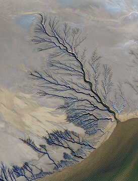 Aerial view of the intricate dendritic drainage patterns of the Reserva de la Biosfera Alto Golfo de California y Delta del Rio Colorado in Tijuana, Baja California, Mexico.