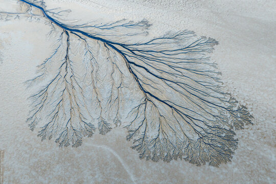 Aerial view of the Reserva de la Biosfera Alto Golfo de California y Delta del Rio Colorado with intricate dendritic water patterns in the sand Tijuana, Baja California, Mexico.