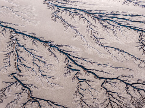 Aerial view of the intricate dendritic drainage patterns in the Reserva de la Biosfera Alto Golfo de California y Delta del Rio Colorado at Tijuana, Baja California, Mexico.
