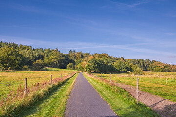 Obraz premium Blue sky, forest and road with landscape in nature for travel destination, roadtrip and holiday. Space, field and street in natural environment for scenic route, getaway journey or highway with trees